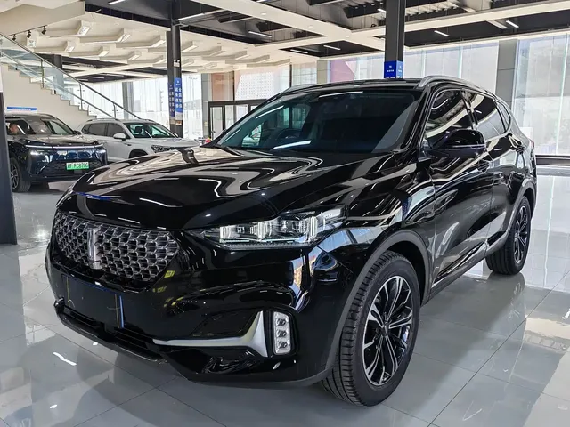 WEY VV6 2021 2.0T 2WD Smart Enjoyment+