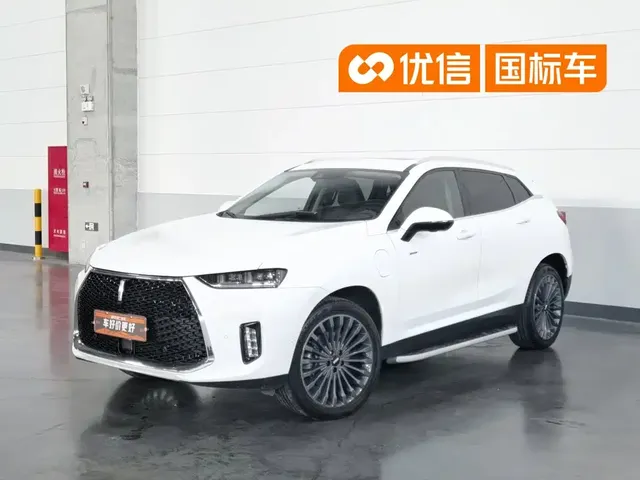 WEY P8 2018 2.0T Flagship Model