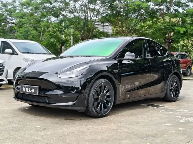 Tesla Model Y 2022 Rear-Wheel Drive Version