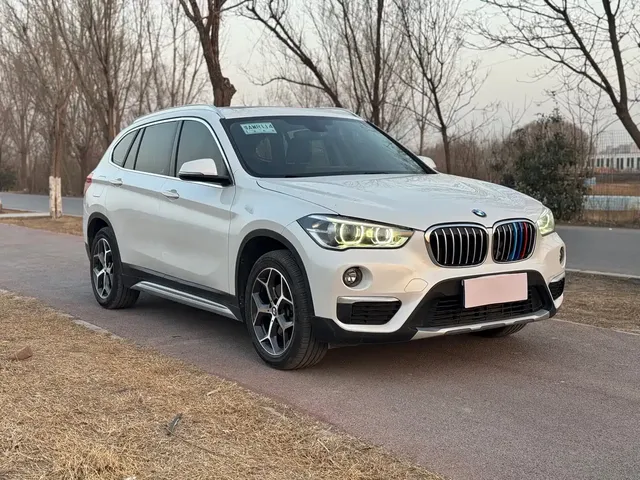 BMW X1 2019 sDrive18Li Premium Model