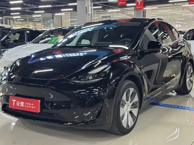 Tesla Model Y 2022 Rear-Wheel Drive Version