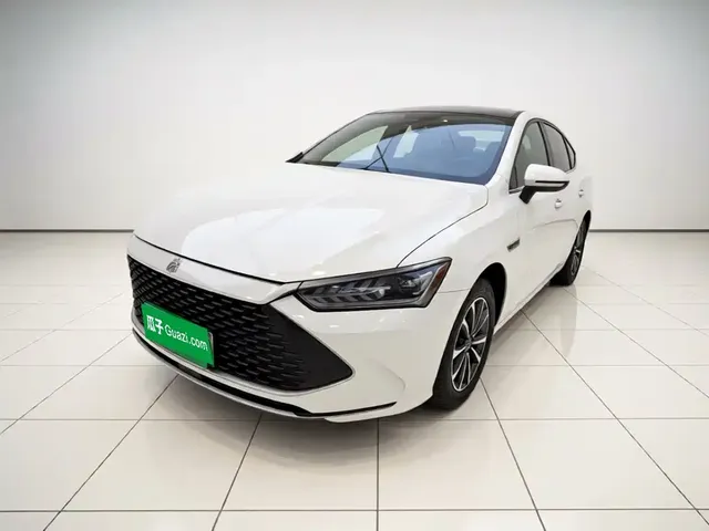 BYD Qin PLUS 2024 Glory Edition DM-i 55KM Leading