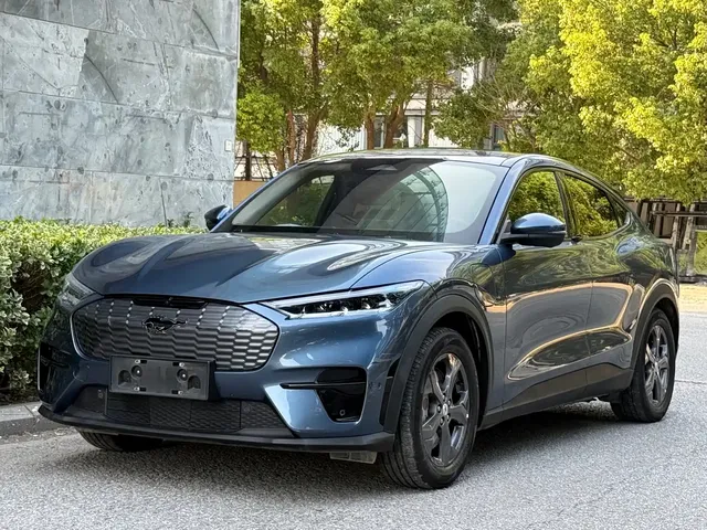 Ford Mustang Mach-E 2021 Leap World RWD (Standard Range)