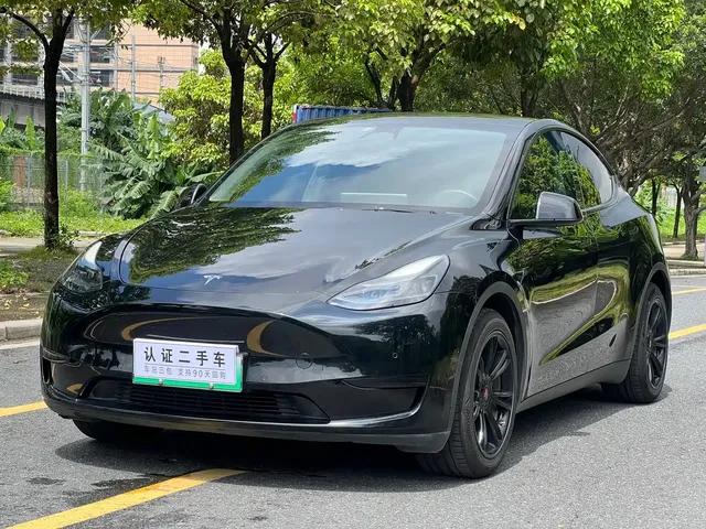 Tesla Model Y 2022 Rear-Wheel Drive Version