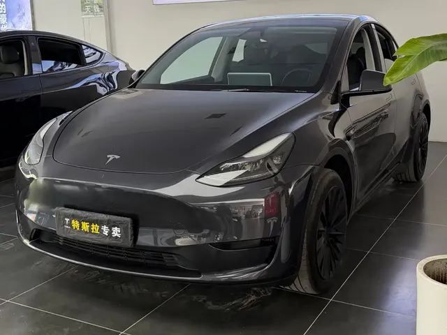 Tesla Model Y 2024 Rear-Wheel Drive Version