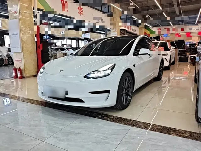 Tesla Model 3 2022 Model Rear-Wheel Drive Version