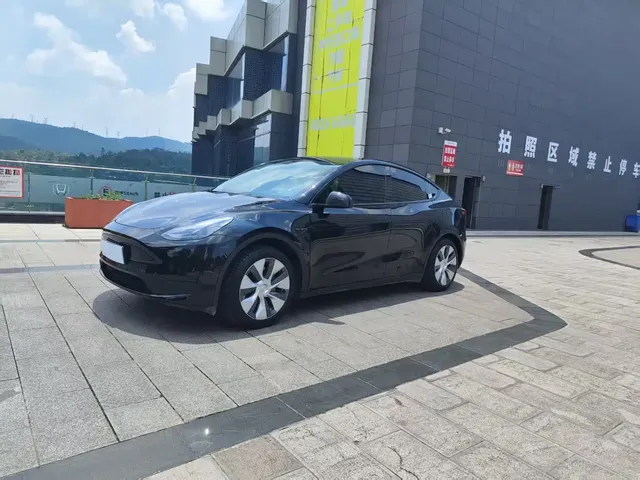 Tesla Model Y 2022 Rear-Wheel Drive Version