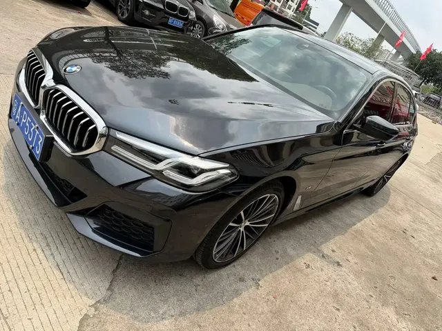 BMW 5 Series 2021 530Li Leading Luxury Package