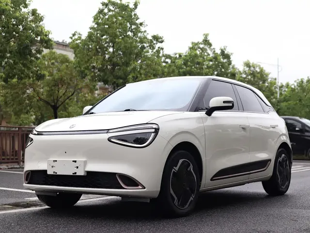 Dongfeng Yipai Nano 01 2024 330 Plus Smart+
