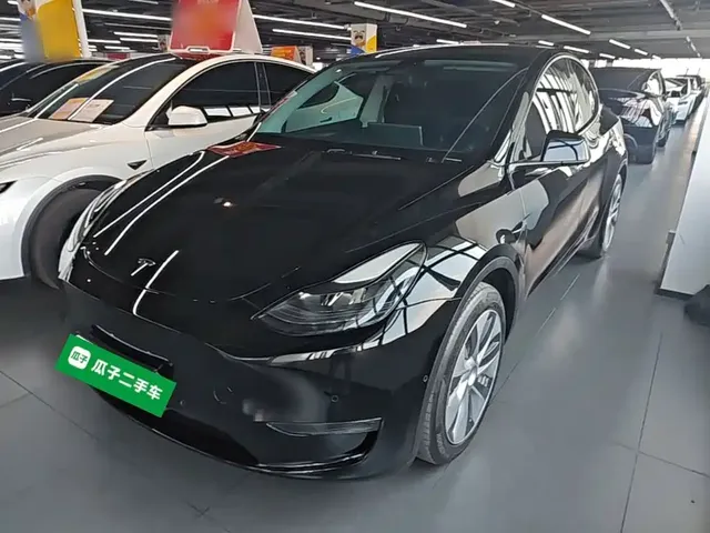 Tesla Model Y 2021 Standard Range Rear-Wheel Drive
