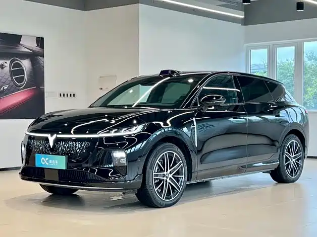 Voyah Auto Voyah Zhiyin 2025 Base