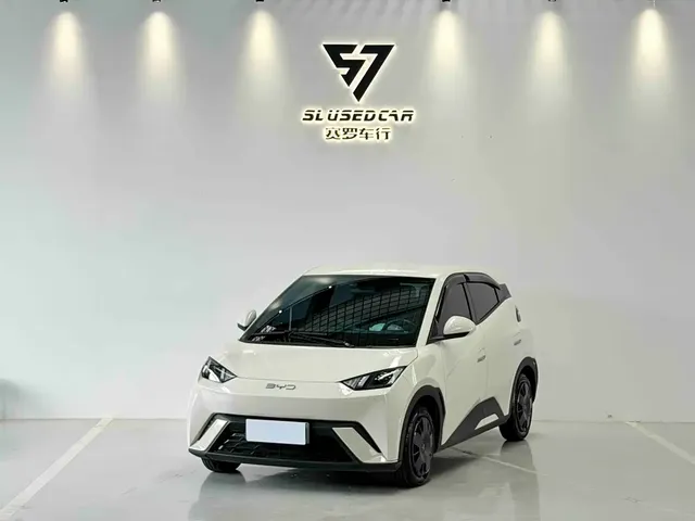 BYD Seagull, 2025