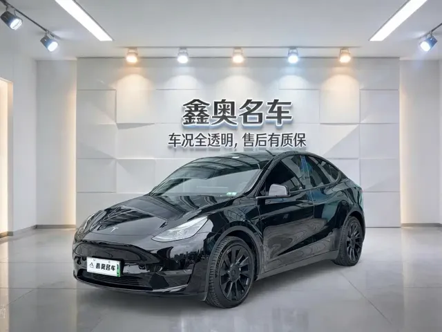 Tesla Model Y 2021 Standard Range Rear-Wheel Drive