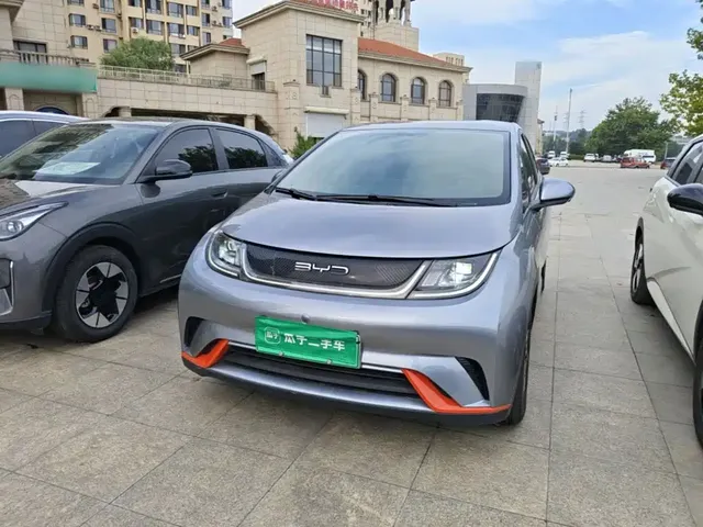 BYD Dolphin 2021 405km Freedom Edition