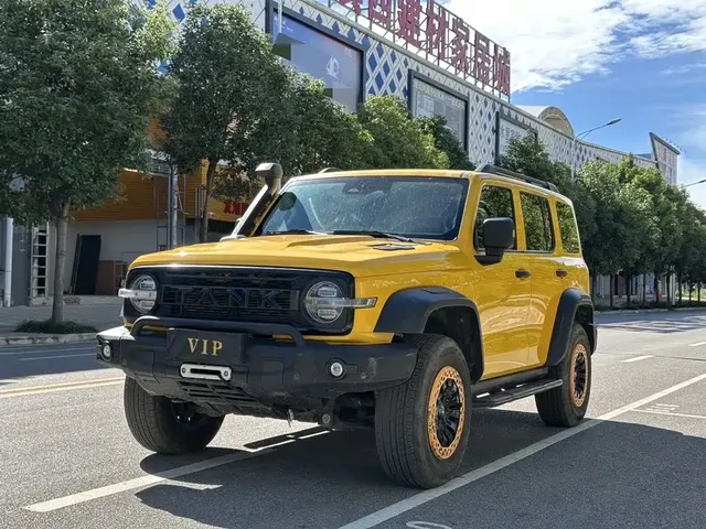 Tank 300 2022 2.0T Border Limited Edition