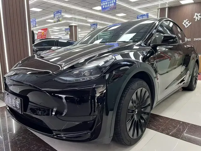 Tesla Model Y 2022 Rear-Wheel Drive Version