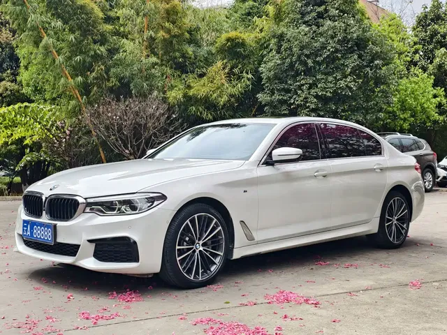 BMW 5 Series 2020 530Li Exclusive M Sport Package