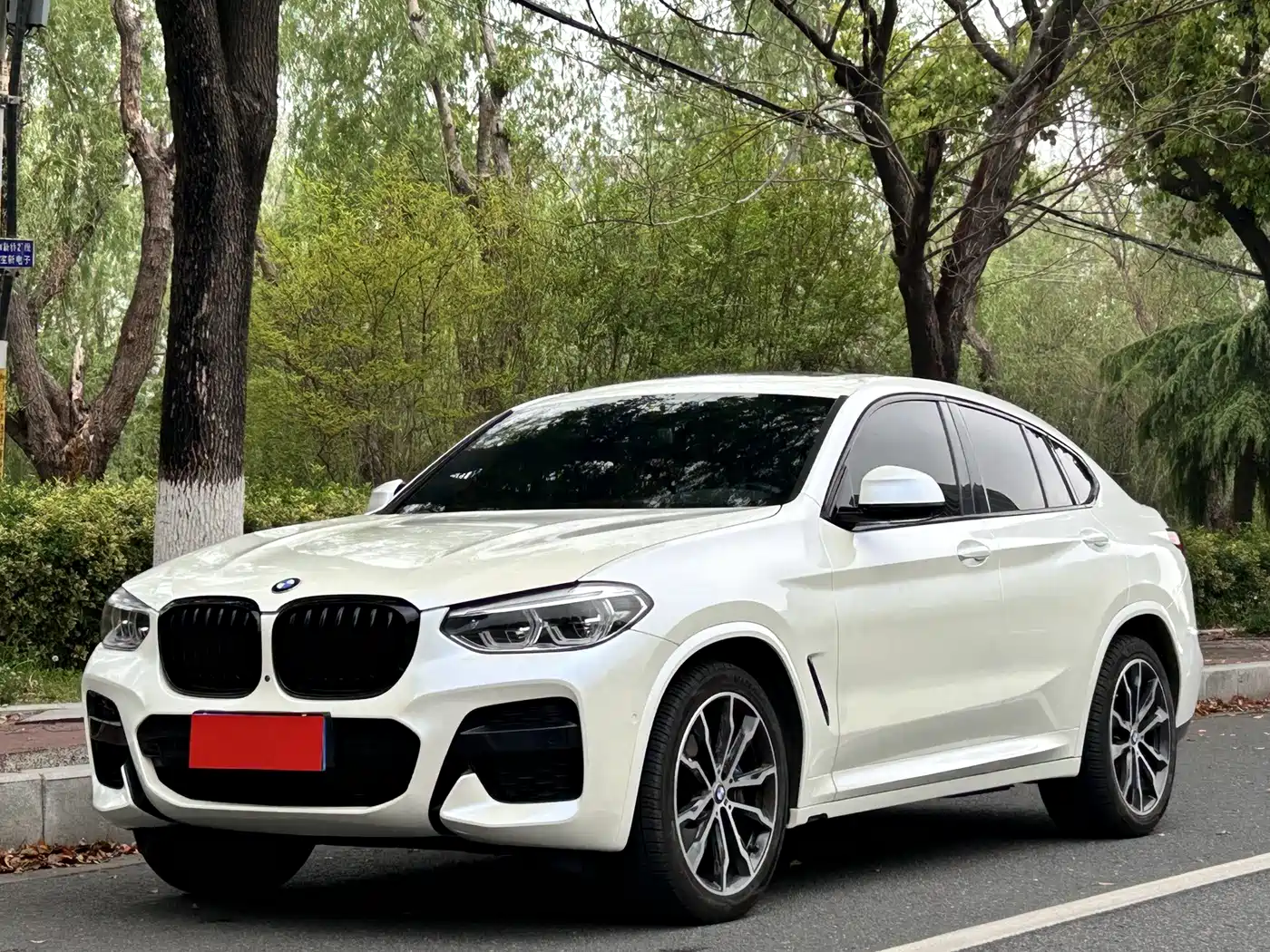 BMW X4 2020 xDrive30i M Sport Package