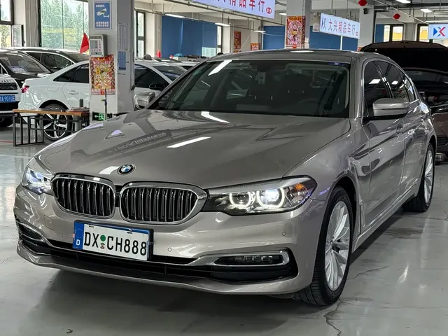 BMW 5 Series 2019 530Li xDrive Luxury Package