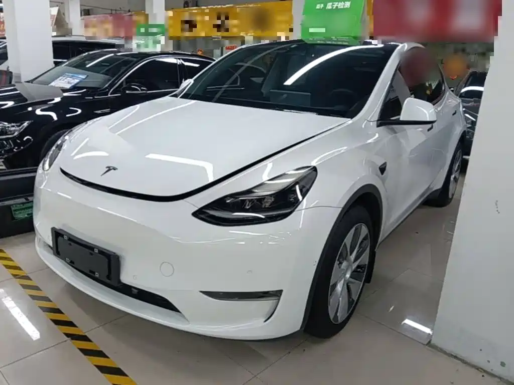 Tesla Model Y 2021 Standard Range Rear-Wheel Drive
