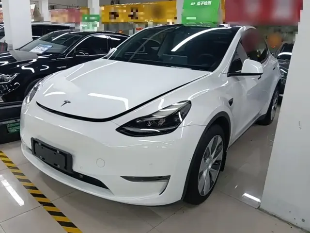 Tesla Model Y 2021 Standard Range Rear-Wheel Drive