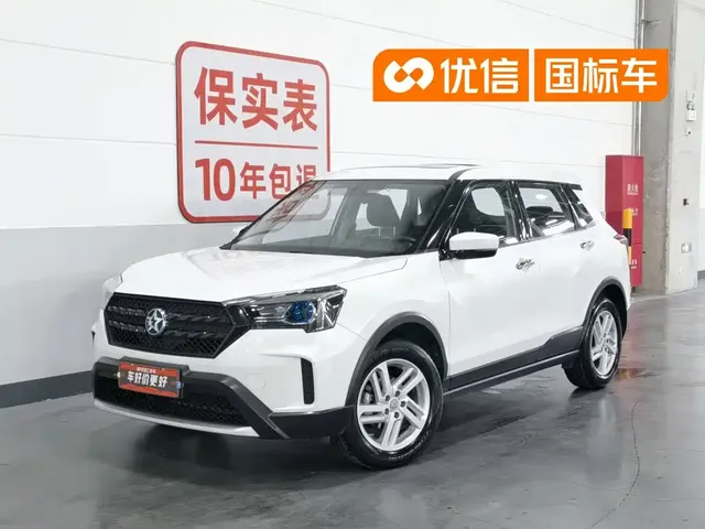 Venucia T60 2020 Model 1.6L Manual Zhiguan Edition China VI