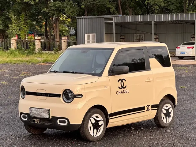 Geely Galaxy Panda 2025 Model Year 210km Panda Kart