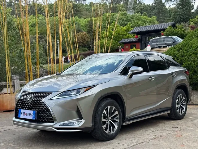 Lexus RX 2020 300 2WD Comfort Edition China VI
