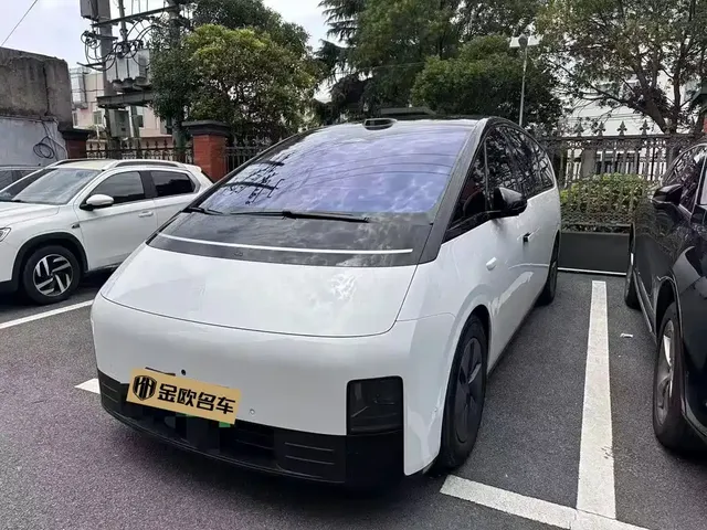 Li Auto MEGA 2025 Model Home Family Special Edition