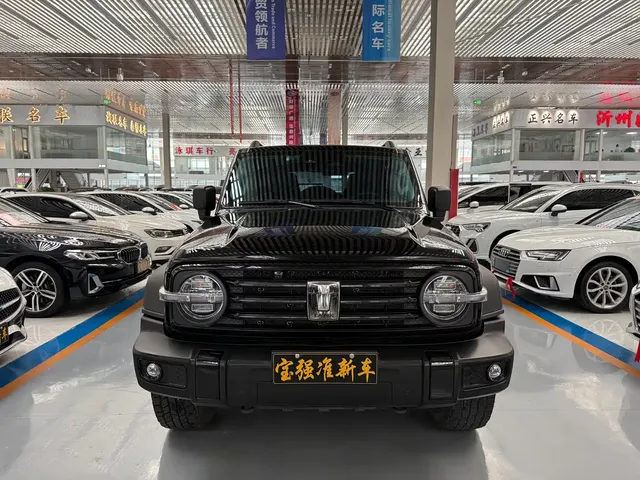Tank 300 2021 Off-road Version 2.0T Conqueror