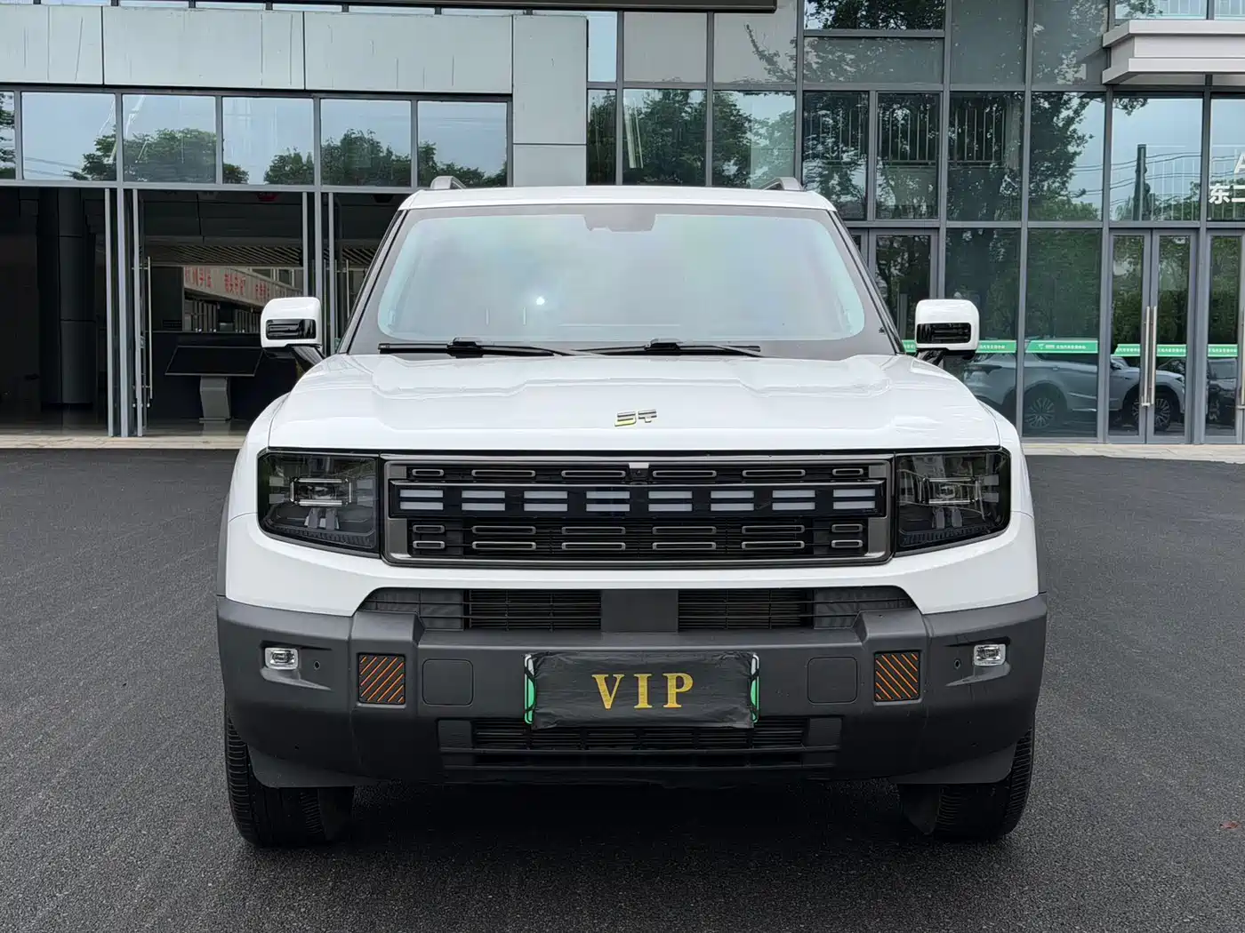 Jetour Shanhai T1 2025 Model Year 150km Discovery