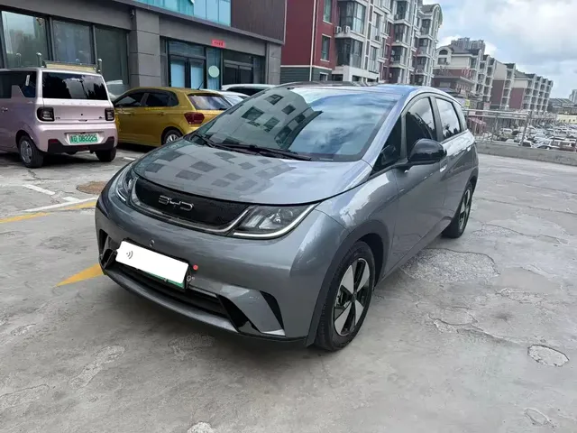 BYD Dolphin 2023 420km Freedom Edition