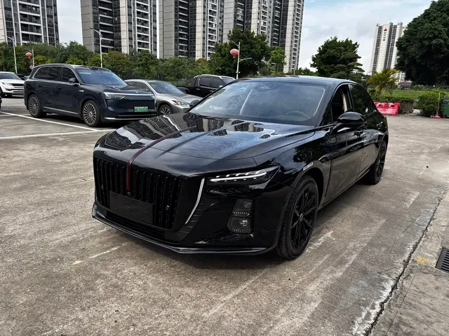 Hongqi H5 2025 2.0T Automatic Mystic Shadow