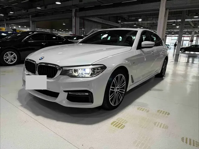 BMW 5 Series 2018 Facelift 530Li Leading Luxury Package