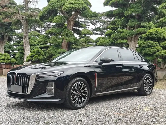 Hongqi H5 2025 2.0T Automatic Flag Celebration 500,000 Units Anniversary Edition