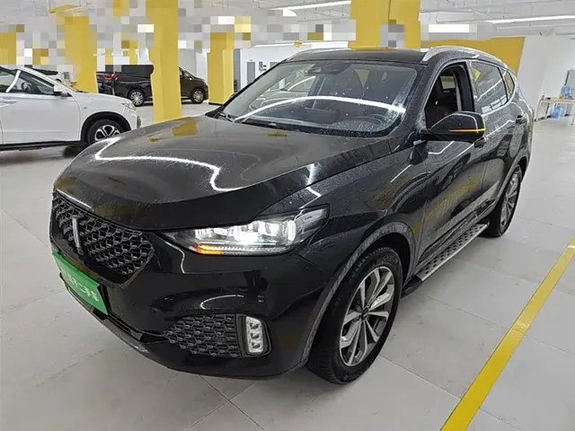 WEY VV6 2020 2.0T 2WD Smart Protection+