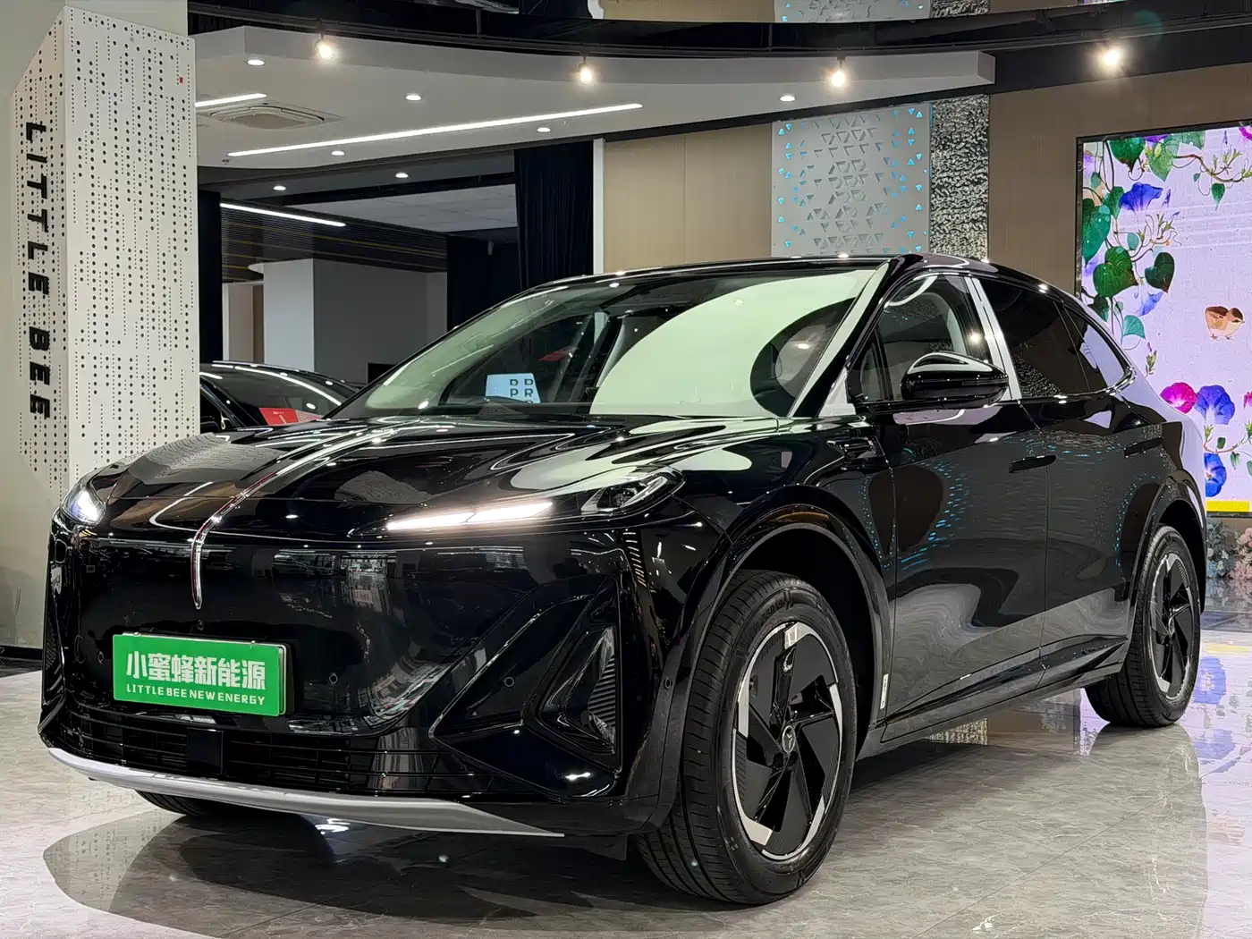 Hongqi Tiangong 06 2025 700