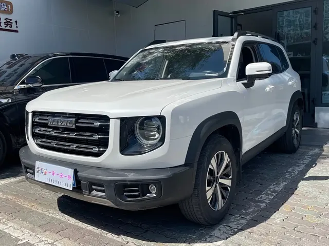 Haval Big Dog 2021 1.5T DCT 2WD Labrador Edition