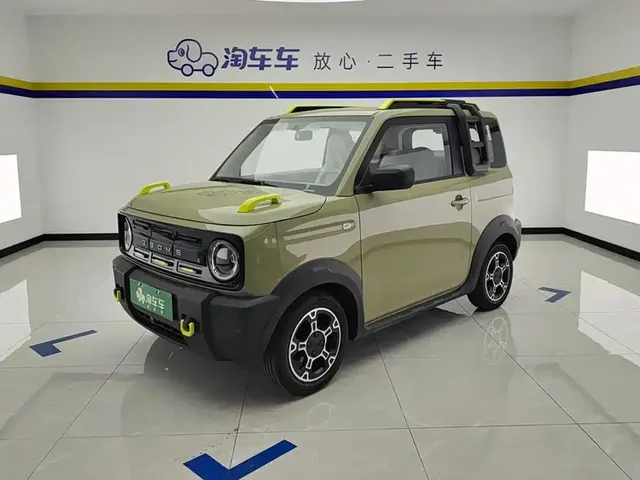 Geely Galaxy Panda 2025 Model Year 210km Panda Knight