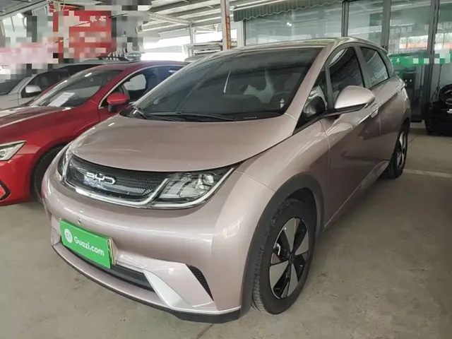 BYD Dolphin 2023 420km Freedom Edition