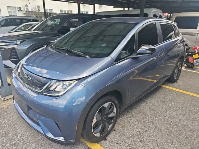 BYD Dolphin 2024 Glory Edition 420km Freedom Edition