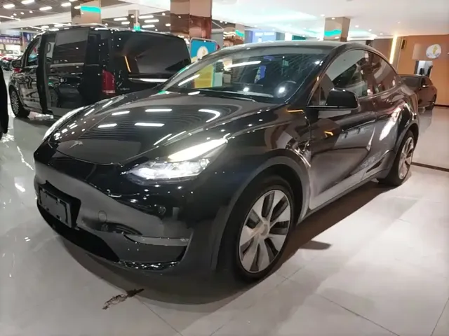 Tesla Model Y 2021 Long Range All-Wheel Drive 3D7