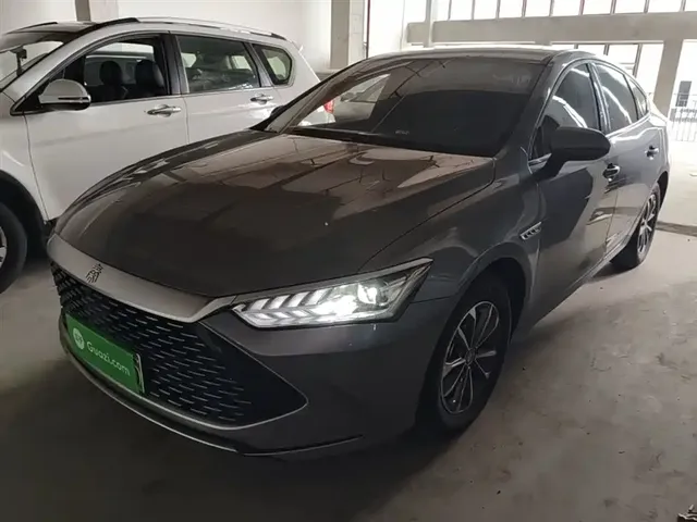BYD Qin PLUS 2025 DM-i Smart Drive 55KM Leader