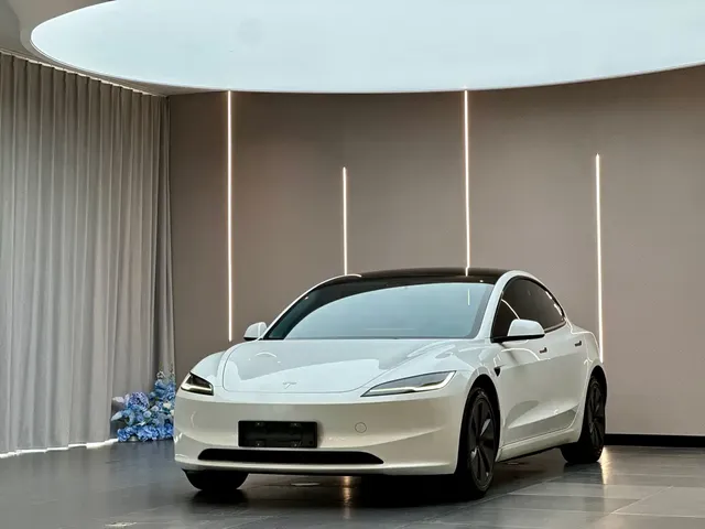 Tesla Model 3 2023 Rear-Wheel Drive