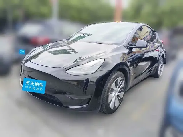 Tesla Model Y 2021 Long Range All-Wheel Drive 3D7