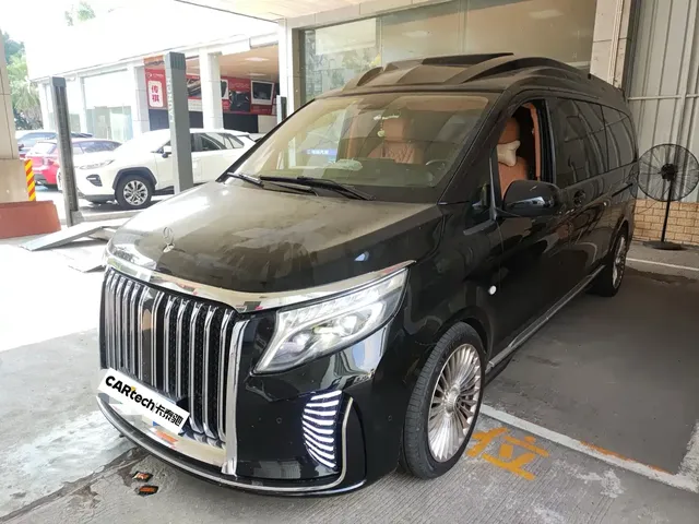 Boochi Bochi NV Series 2020 2.0T Welfare Vehicle