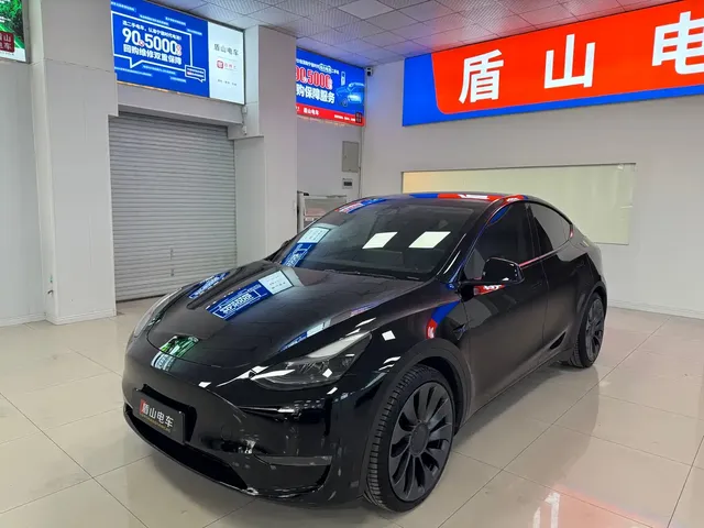Tesla Model Y 2021 Performance High-Performance AWD