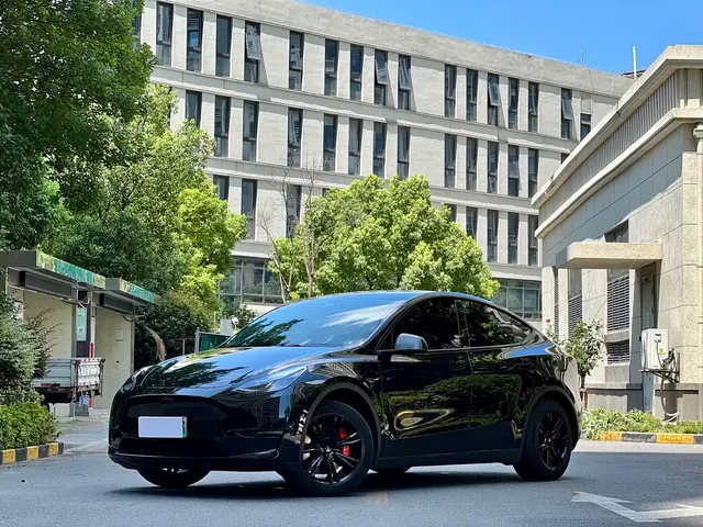 Tesla Model Y 2022 Rear-Wheel Drive Version