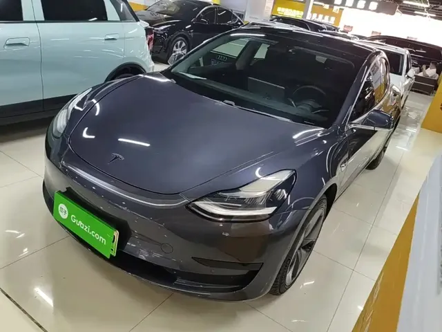 Tesla Model 3 2020 Standard Range Rear-Wheel Drive Upgrade