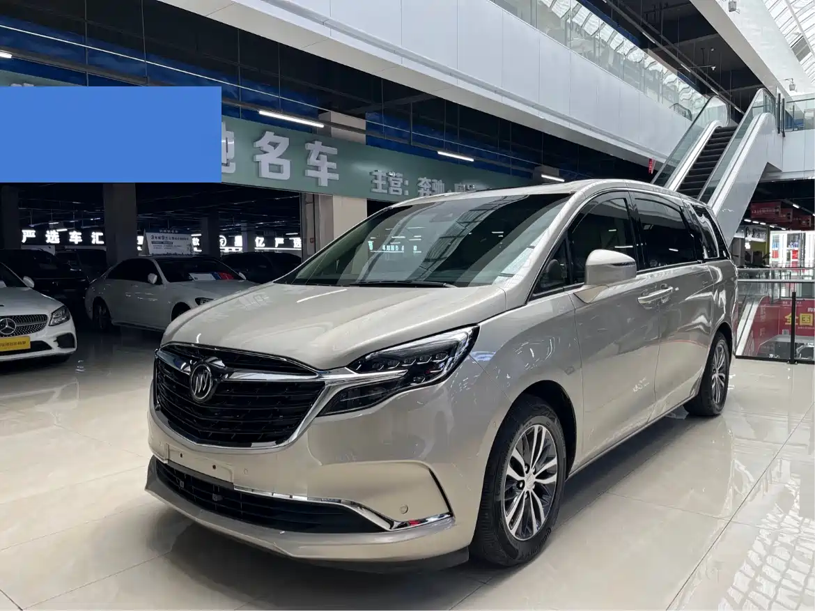 Buick GL8 2022 ES Landmark 653T Premium